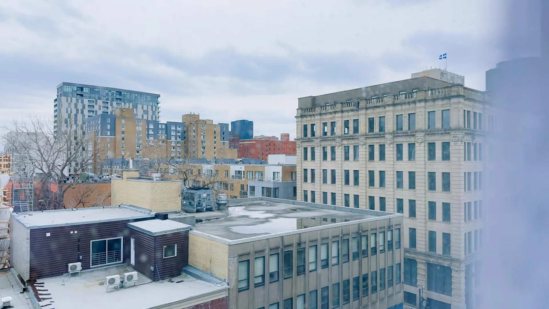 Peace & Elegance In Downtown Mtl Apartment Montreal
